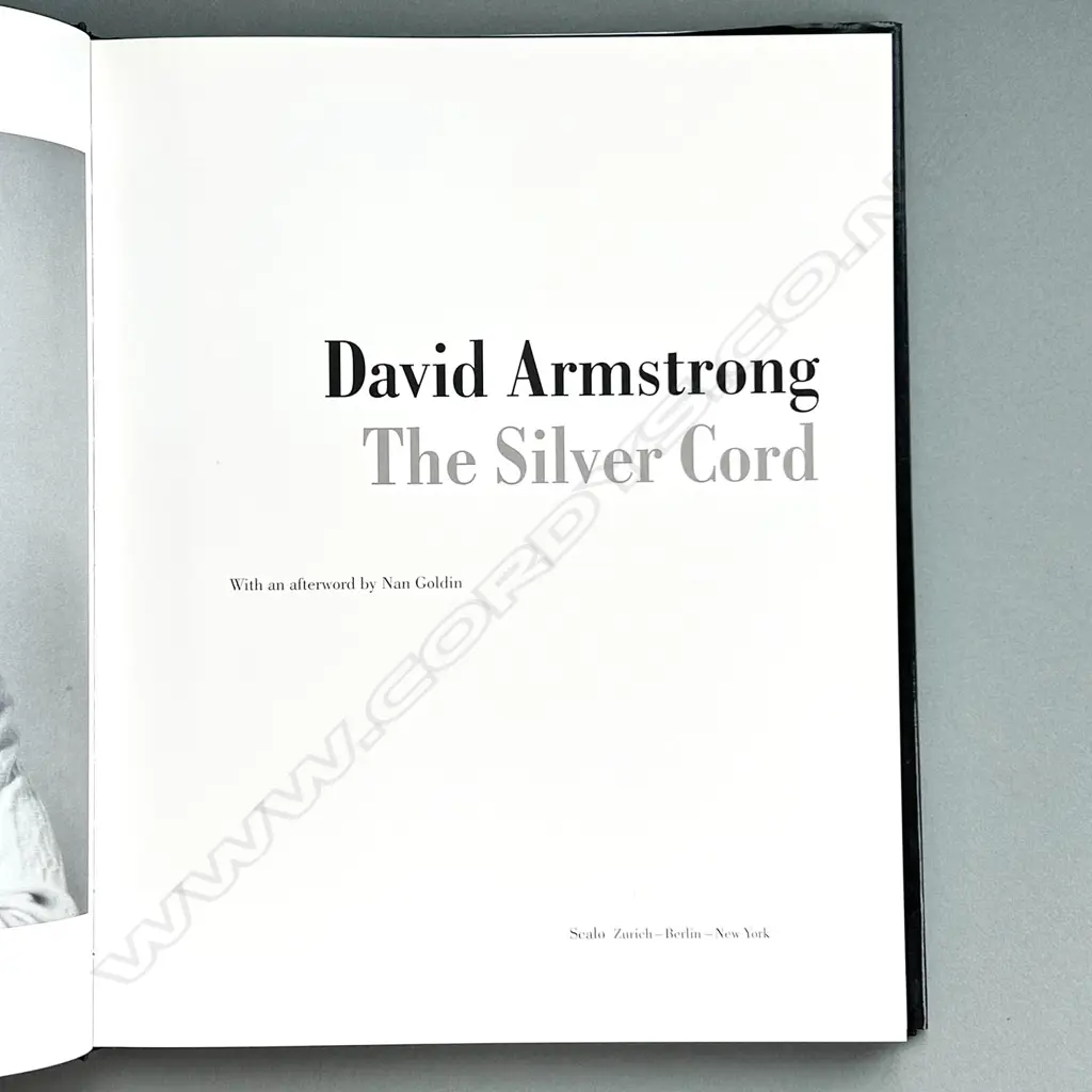 DAVID ARMSTRONG: THE SILVER CORD Image 1++